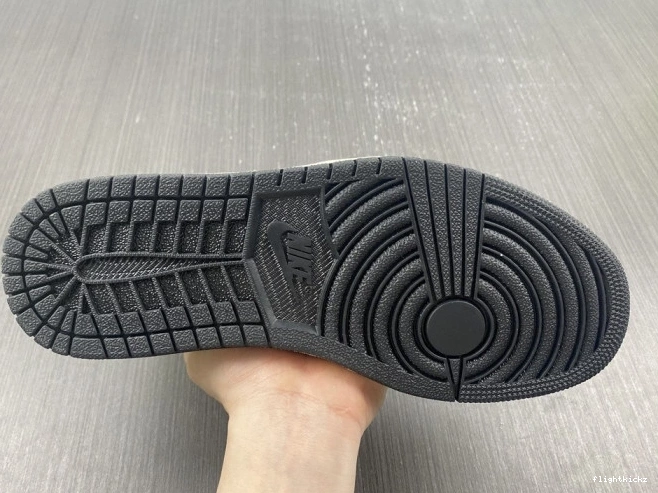 555088-702 Air OG High 1 Volt Jordan 0811
